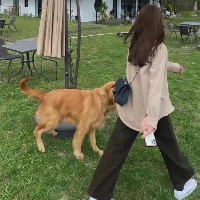 孤独的美食家 第三季封面